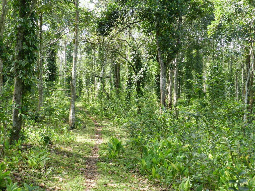 Elephant Valley Eco Farm Hotel Kodaikanal Buitenkant foto