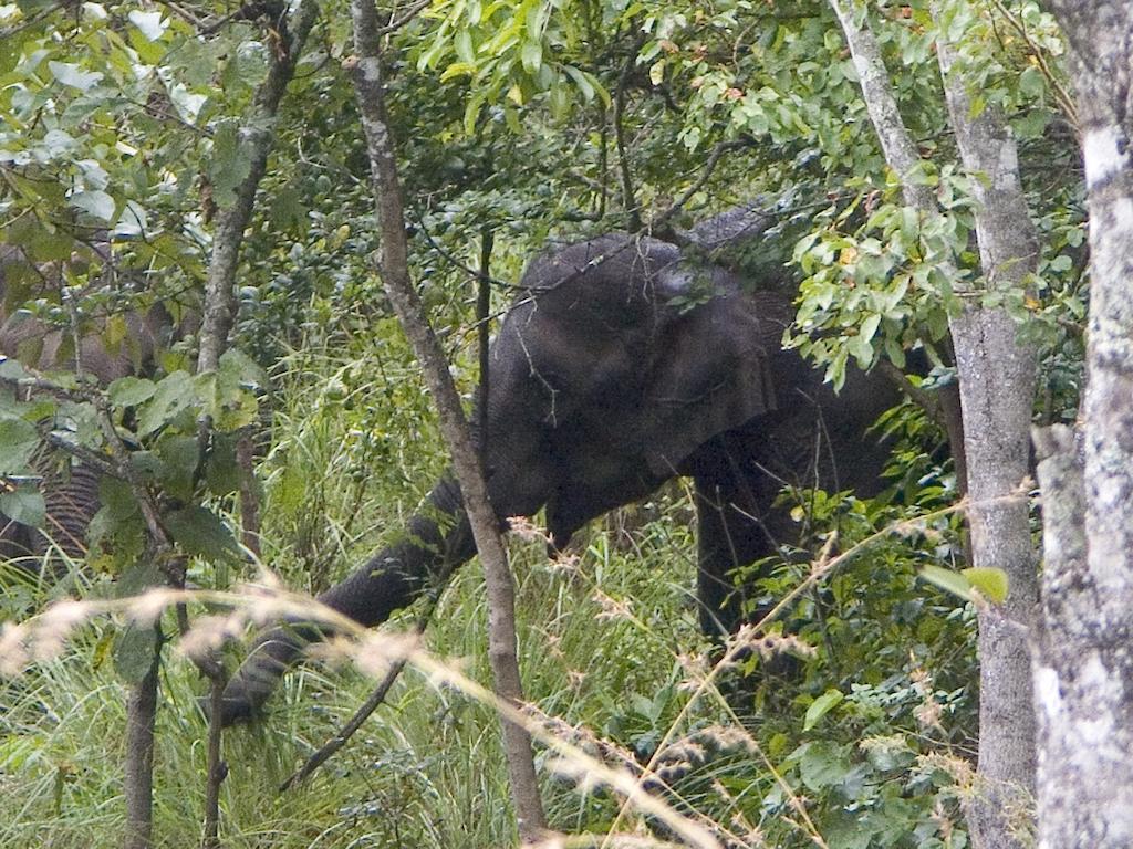 Elephant Valley Eco Farm Hotel Kodaikanal Buitenkant foto